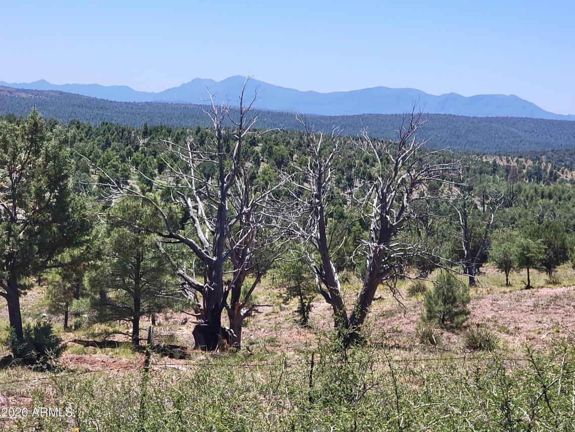41 & 42 Antelope Tr., Payson, AZ 85541