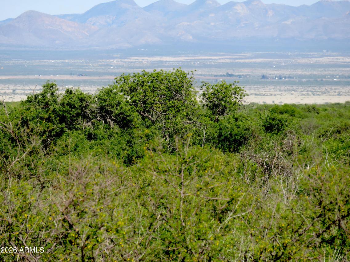 TBD N Last Tr. #55, Elfrida, AZ 85610