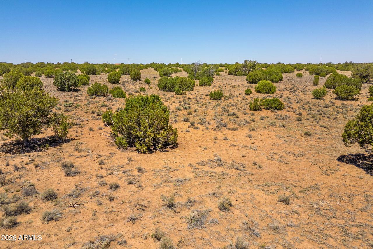 TBD County Road 8643 #188, Concho, AZ 85924