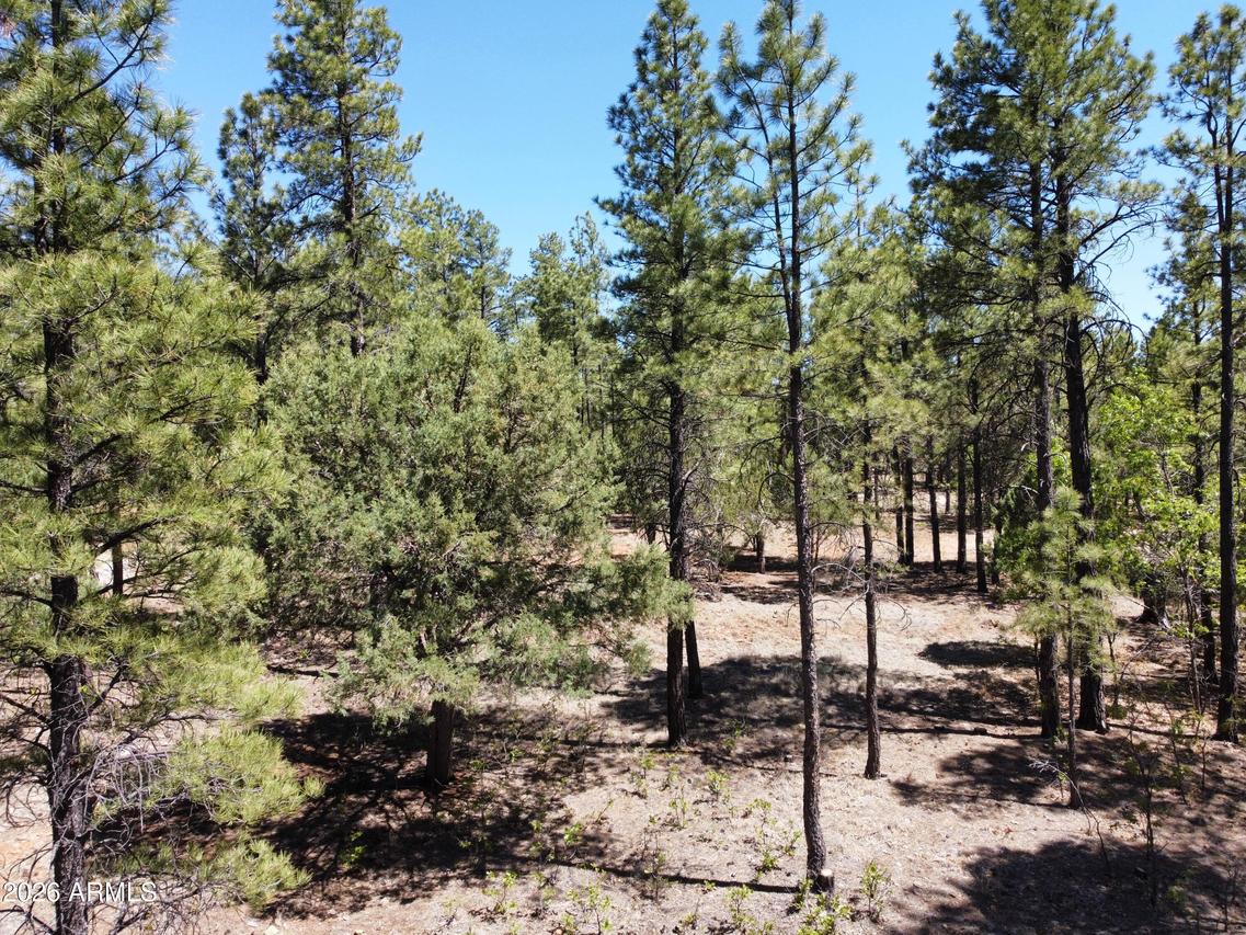 4450 Blackfoot Cir. #415, Happy Jack, AZ 86024