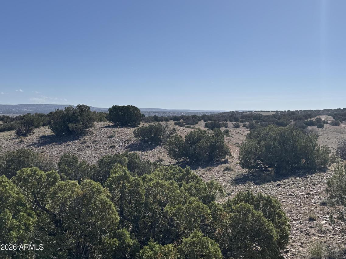 Lot 901 Woodland Valley Ranch #901, St Johns, AZ 85936