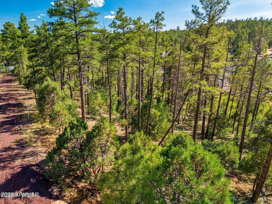 TBD E Ellsworth #3, Show Low, AZ 85901