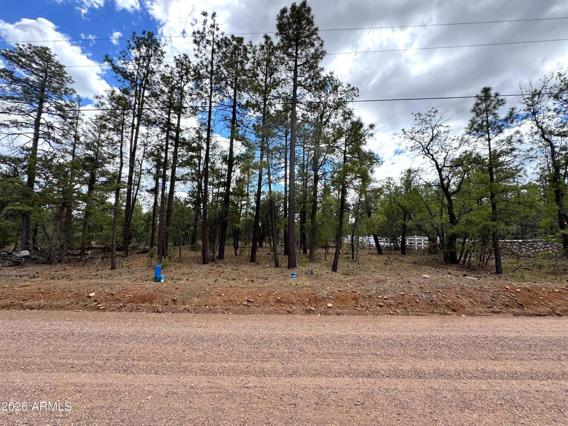 1983 Maryanne Rd. #-, Show Low, AZ 85901