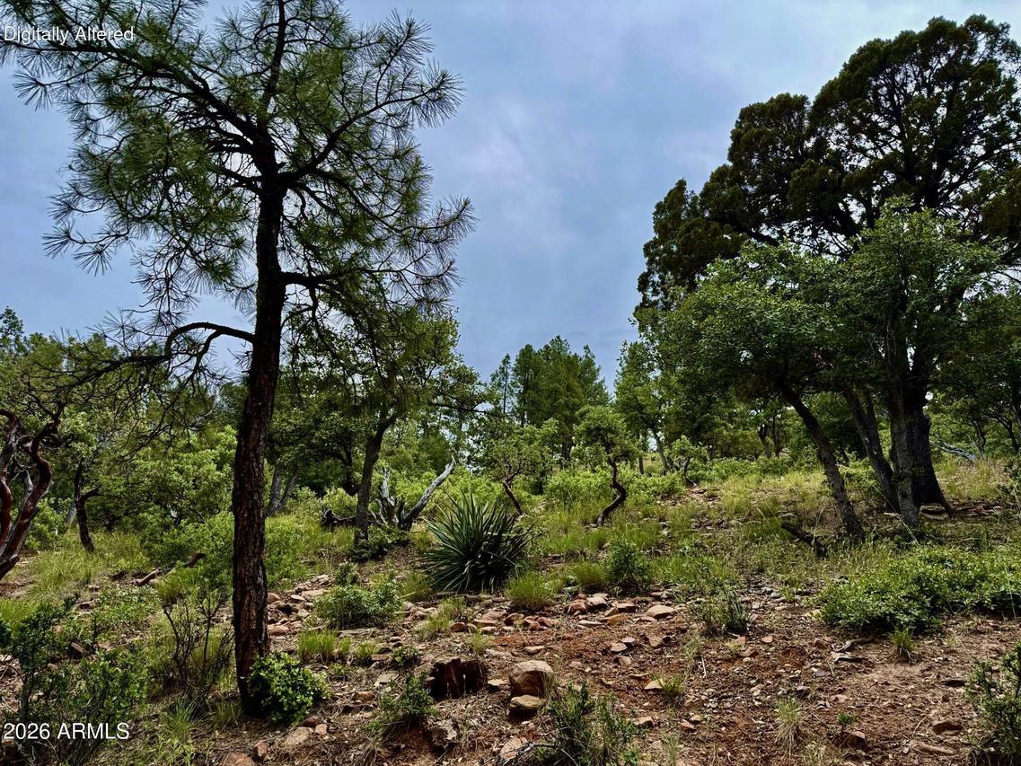 161 N Portal Dr., Pine, AZ 85544