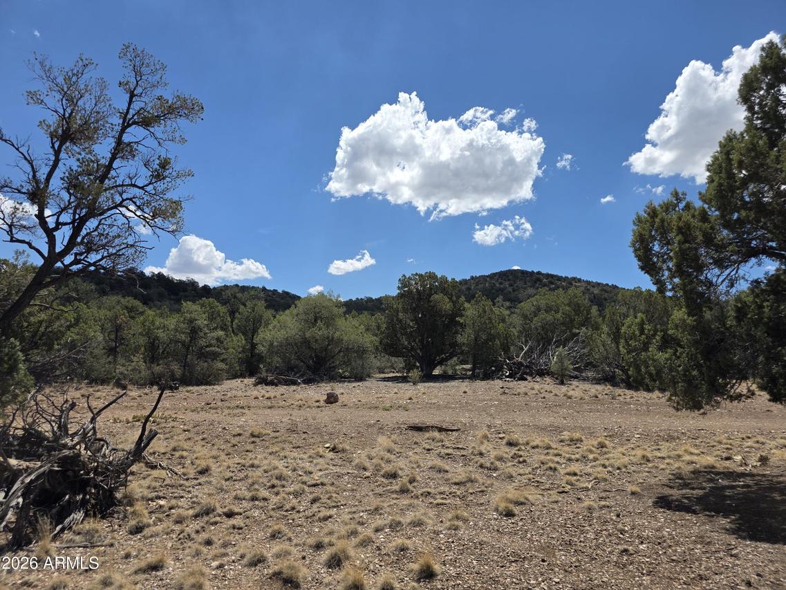 824 Seligman Yavapai County #-, Seligman, AZ 86337