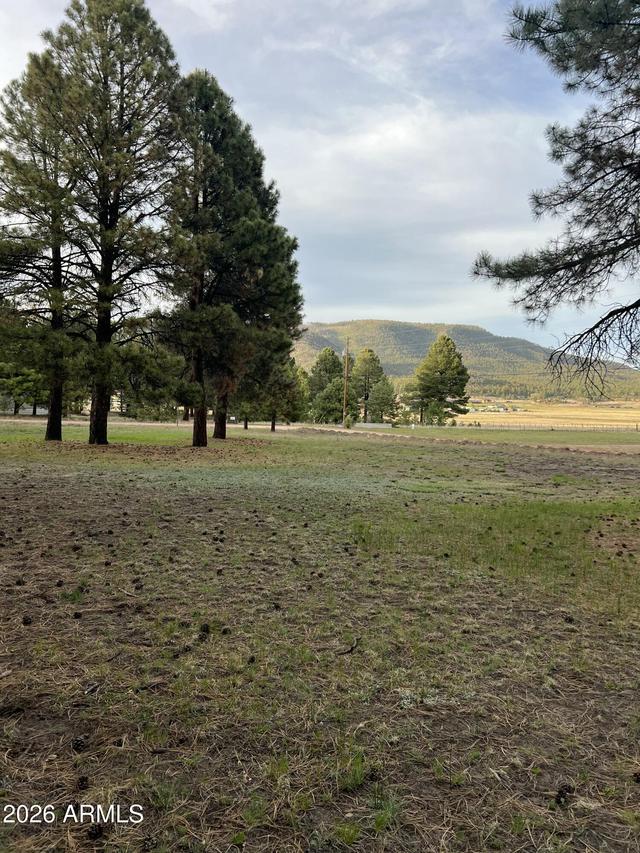 18 County Rd 2063 #8, Alpine, AZ 85920