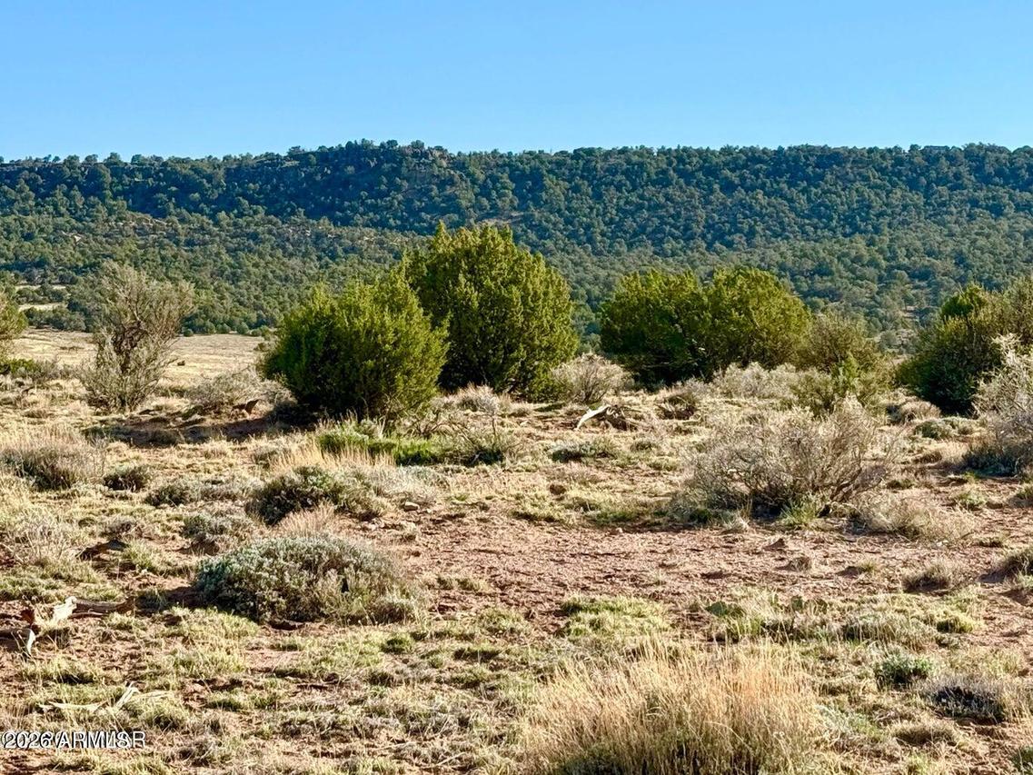 85 Co Rd 8500 Acres #-, Concho, AZ 85924