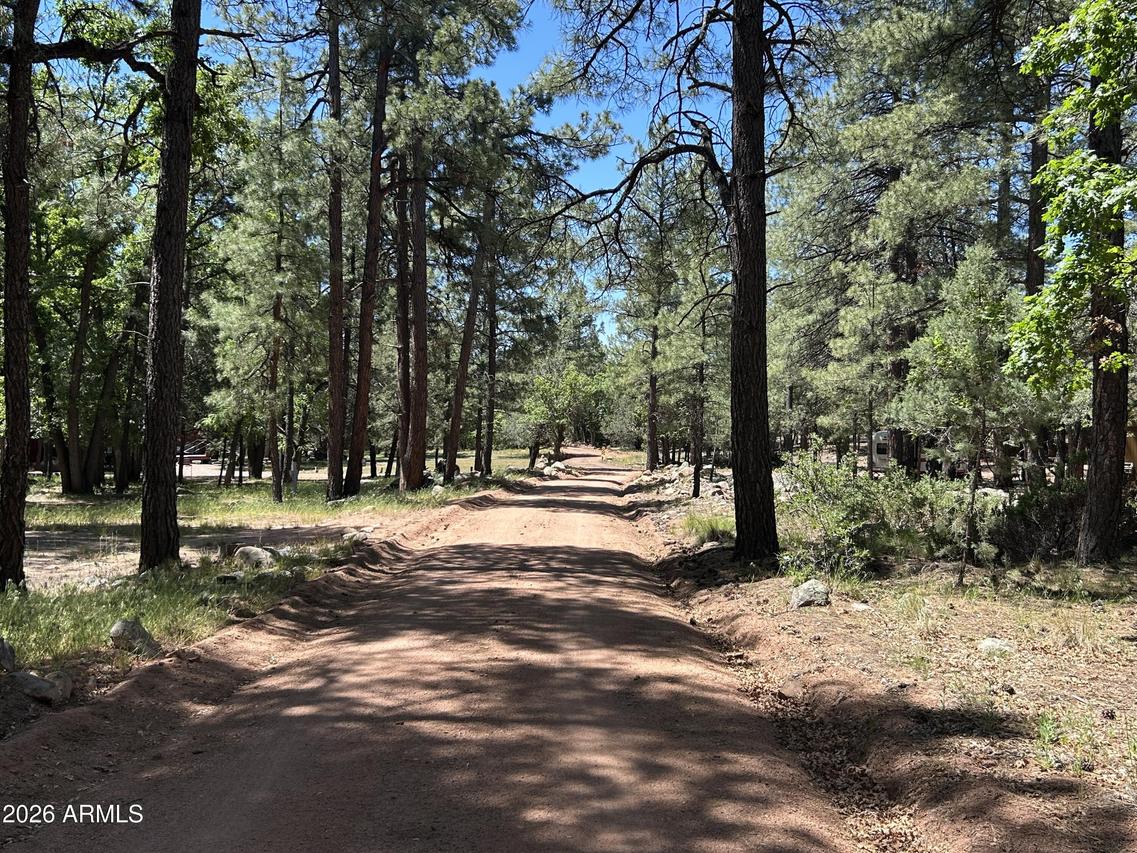 374 N Majestic Elk Ln. #37, Payson, AZ 85541