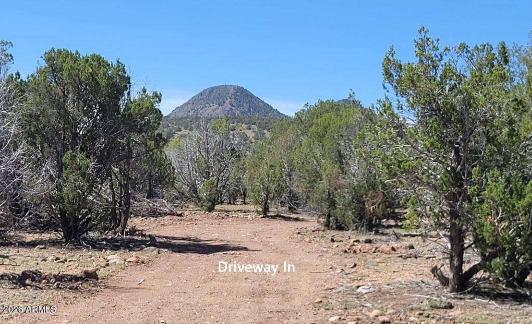 107A N Ranch Rd., Williams, AZ 86046