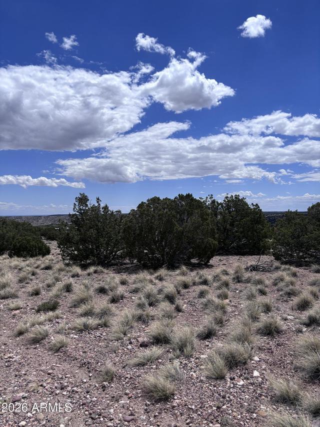 71 Gila Dr. #1, Concho, AZ 85924