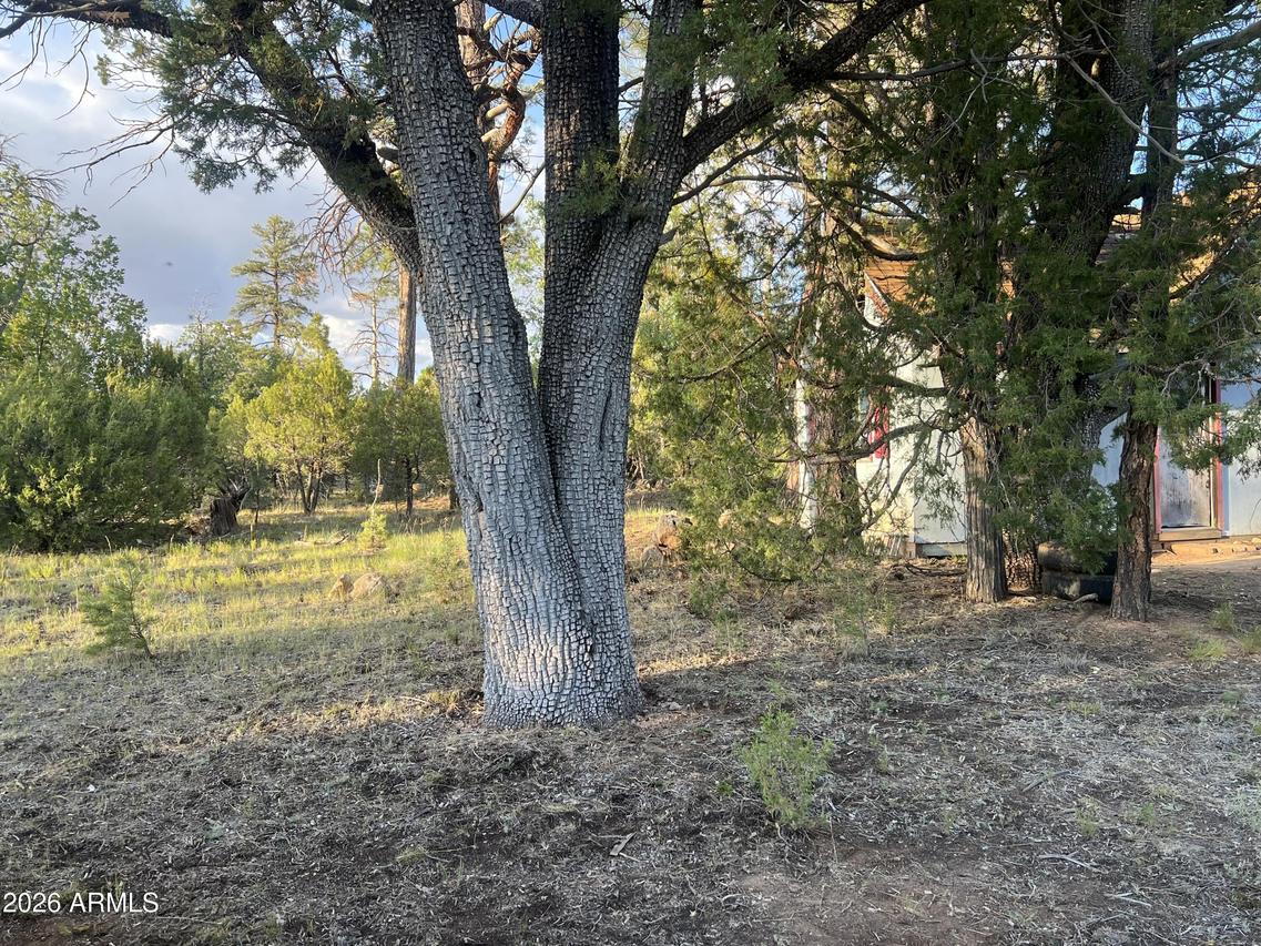1270 Green Ridge Dr., Happy Jack, AZ 86024
