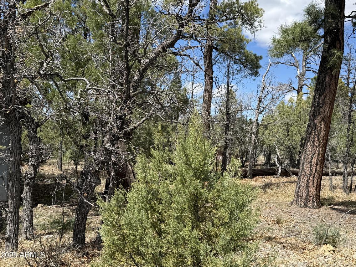 1226 Green Ridge Dr. #80, Happy Jack, AZ 86024