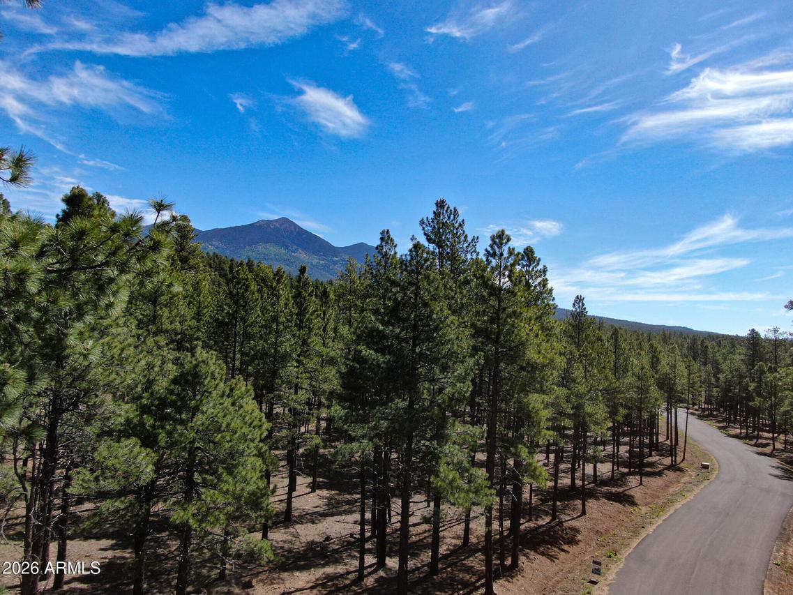 7690 W Taylor Springs Ln. #63, Flagstaff, AZ 86001
