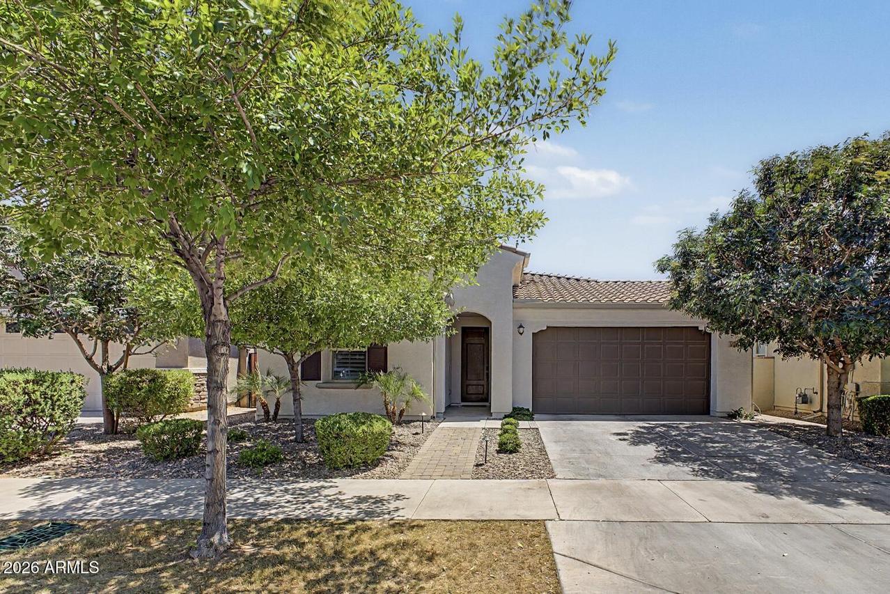 9919 E Thornbush Ave., Mesa, AZ 85212