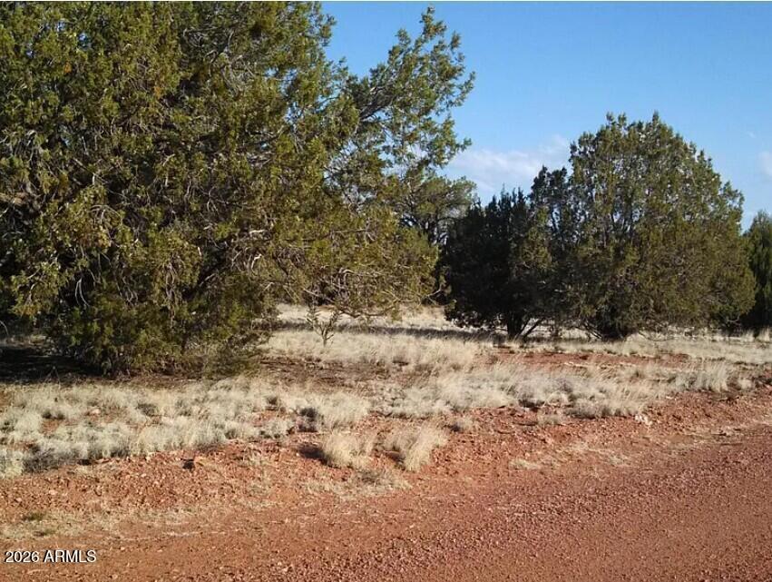 625 Mystery Ln. #-, Seligman, AZ 86337