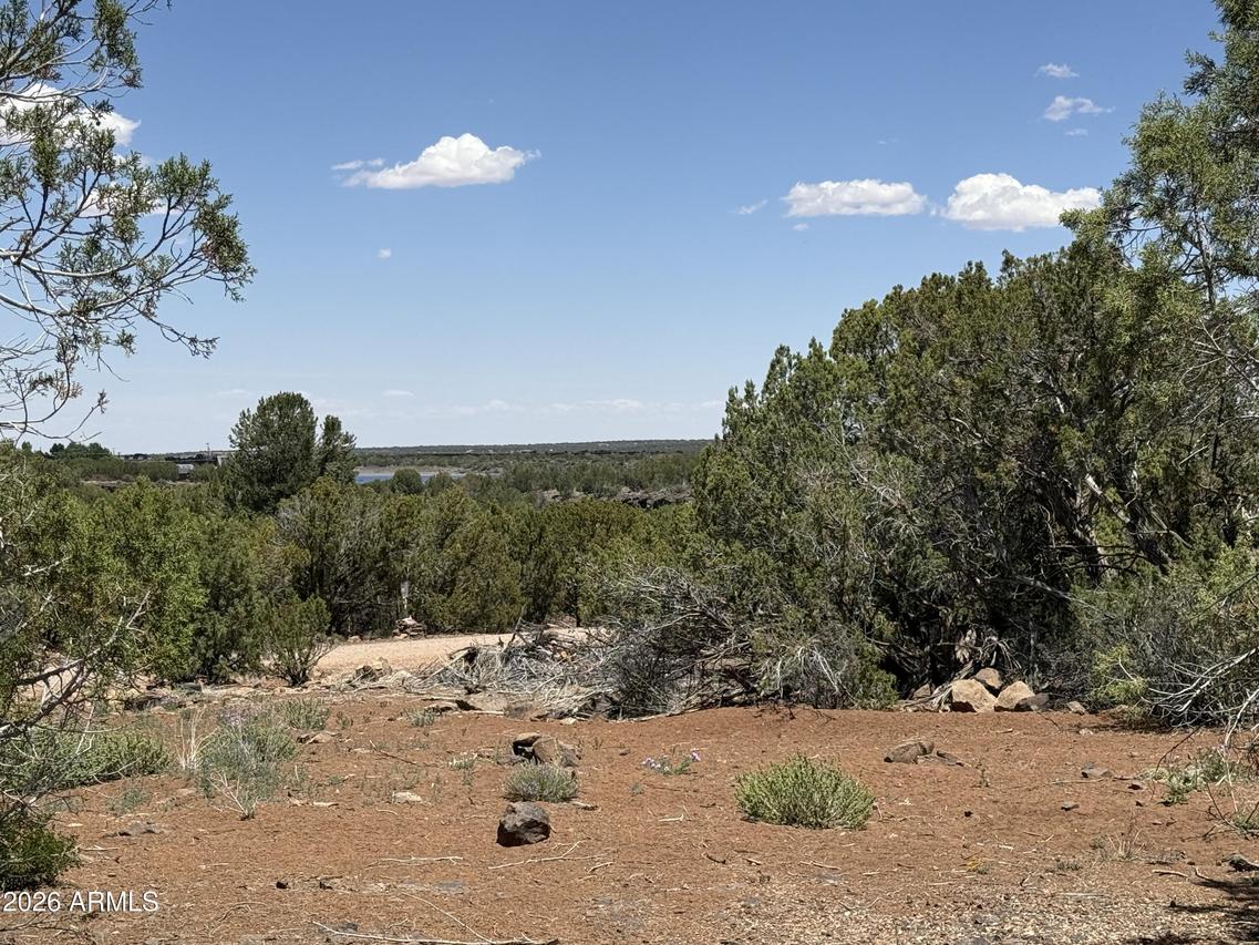 1885 Daggs St. #38, Show Low, AZ 85901