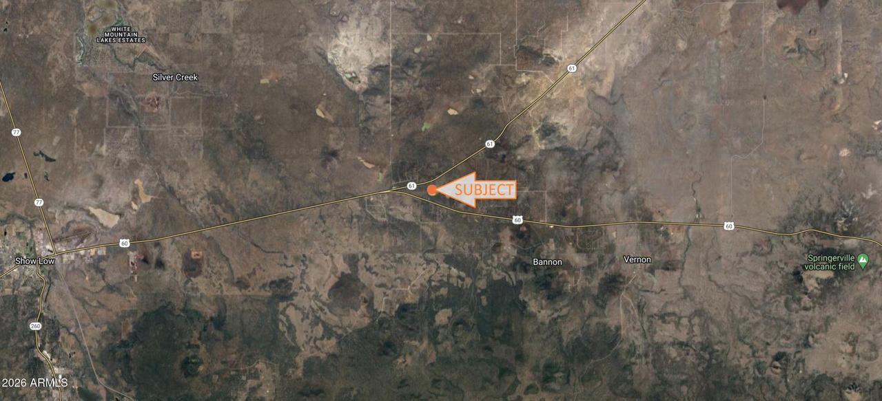 33 County Rd N3319 #-, Vernon, AZ 85940