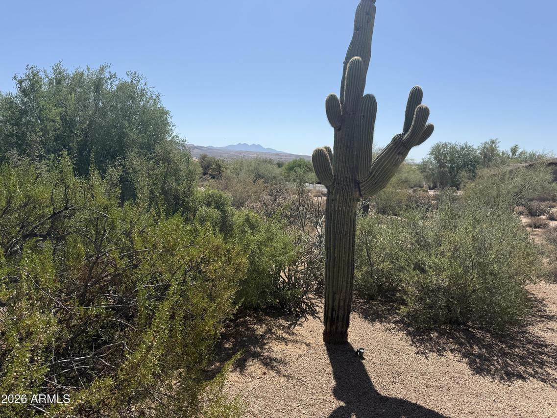 19020 E Buckskin Dr. #7, Rio Verde, AZ 85263