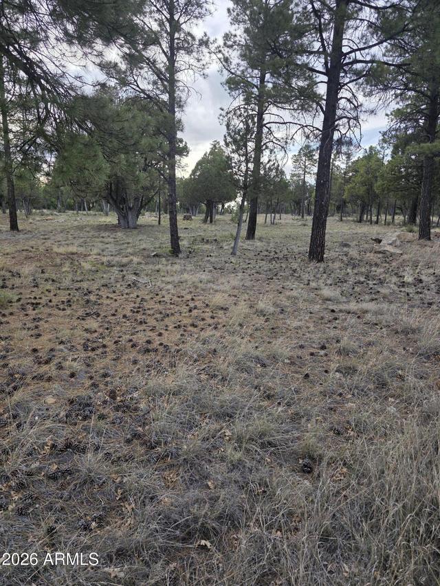 2584 Arapaho Dr. #600, Happy Jack, AZ 86024