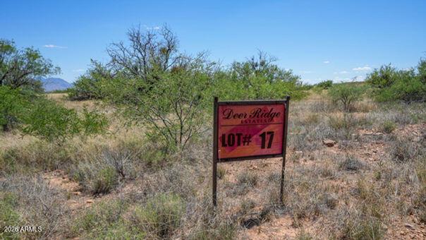 TBD S Xxx Coatimundi Dr. #17, Hereford, AZ 85615