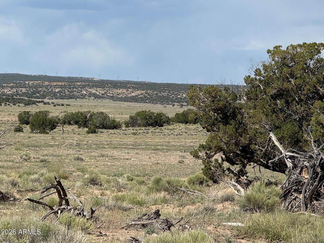 n6581 N N6581 #765, St Johns, AZ 85936