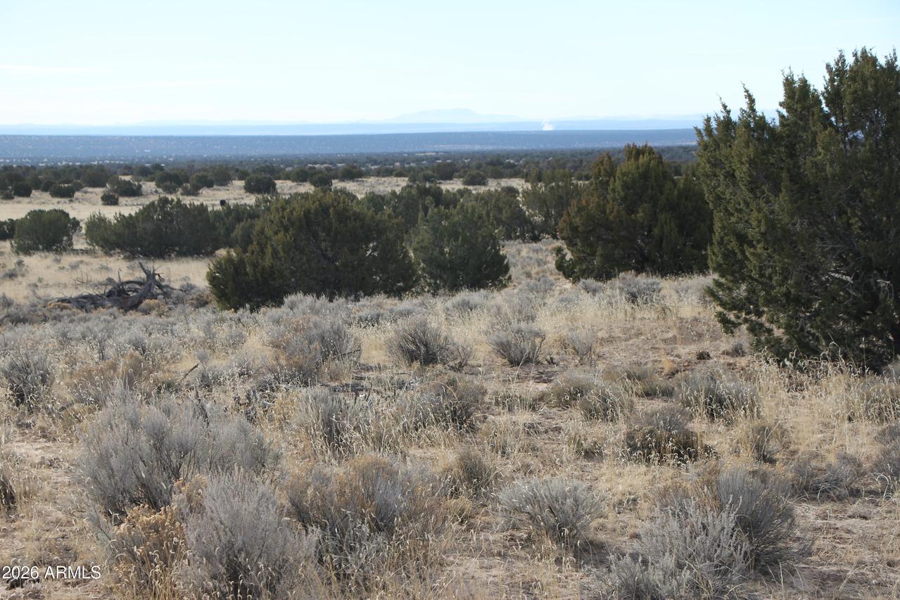 N7144 N N7144 #14, St Johns, AZ 85936