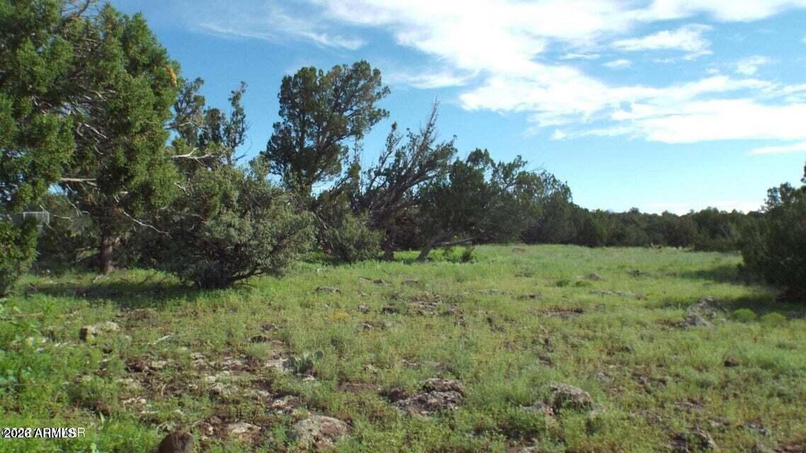 71 Acr 8001 #632, Concho, AZ 85924