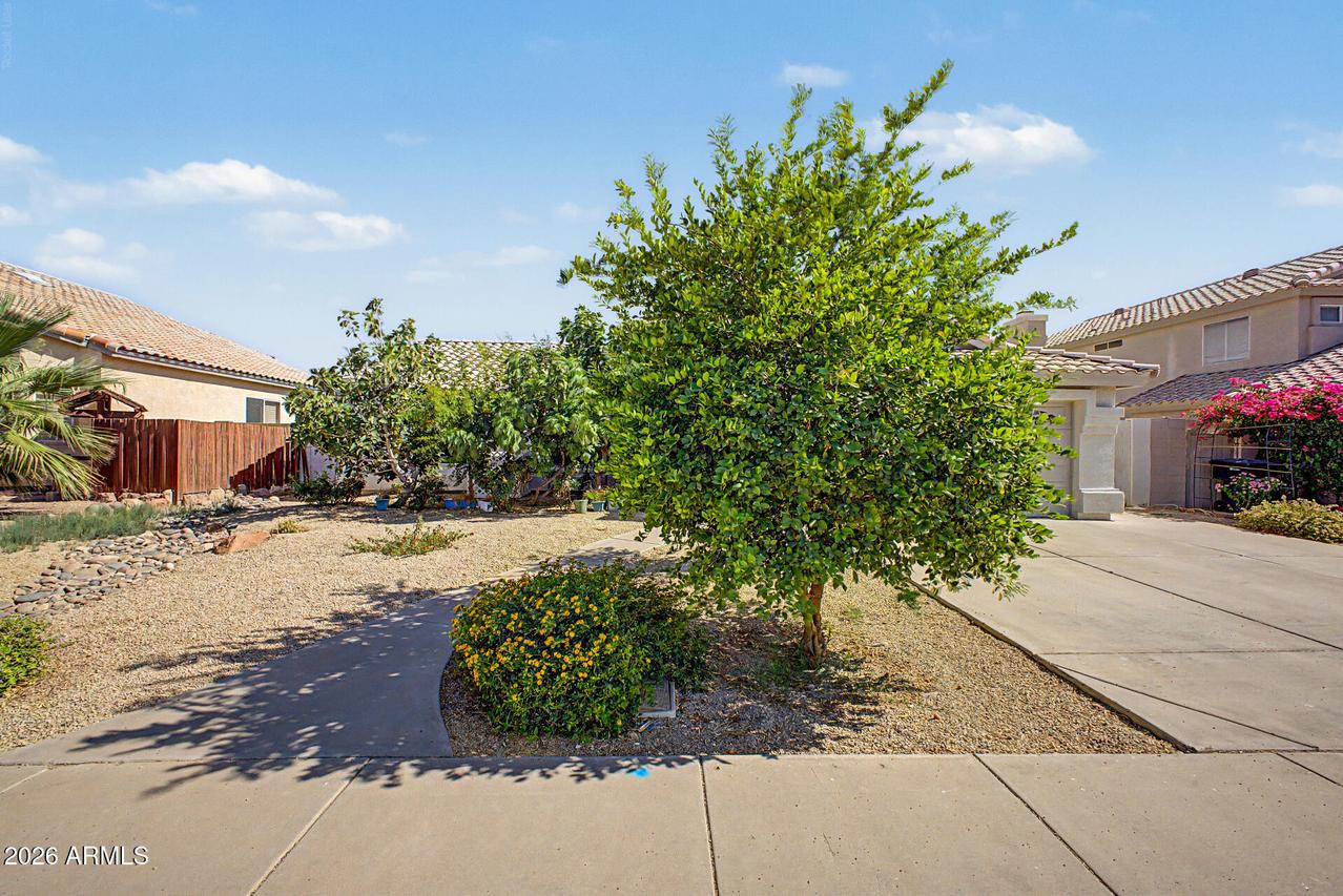 1553 W Chicago St., Chandler, AZ 85224