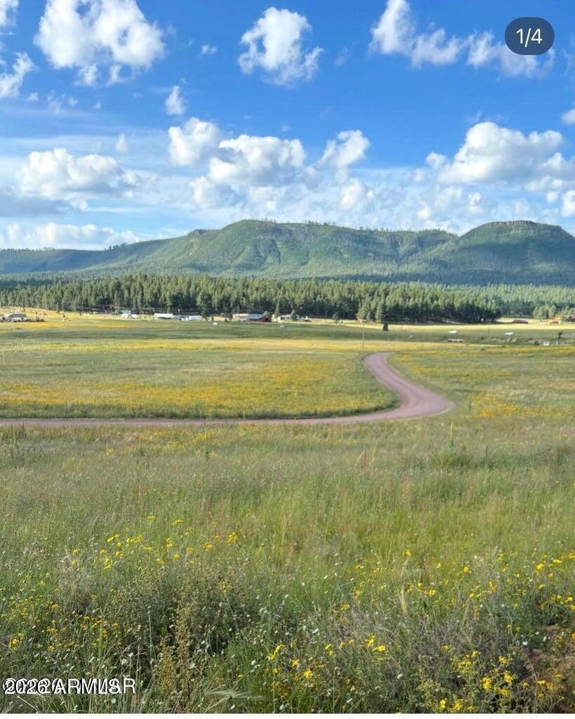 27 County Road 2330 #32, Alpine, AZ 85920