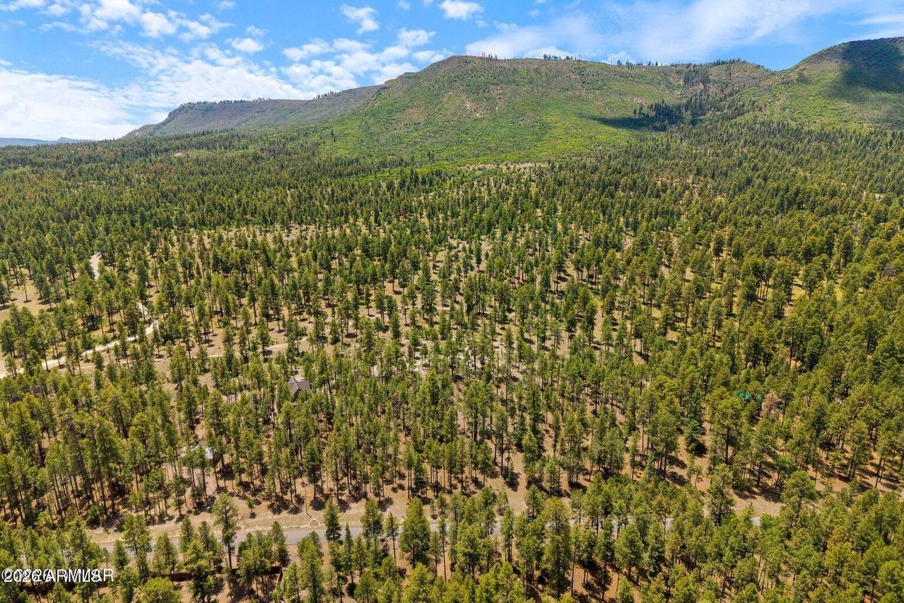 98 County Road  2266 #n/a, Alpine, AZ 85920