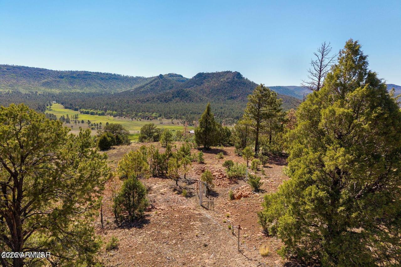 N2280 Noble Mountain Est #47, Nutrioso, AZ 85932