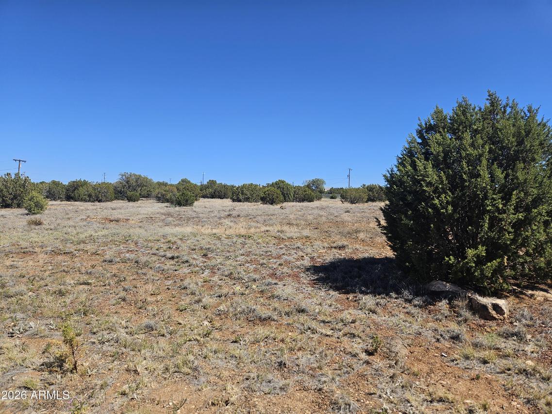 2429 Bourdon Ranch Rd. #F, Show Low, AZ 85901