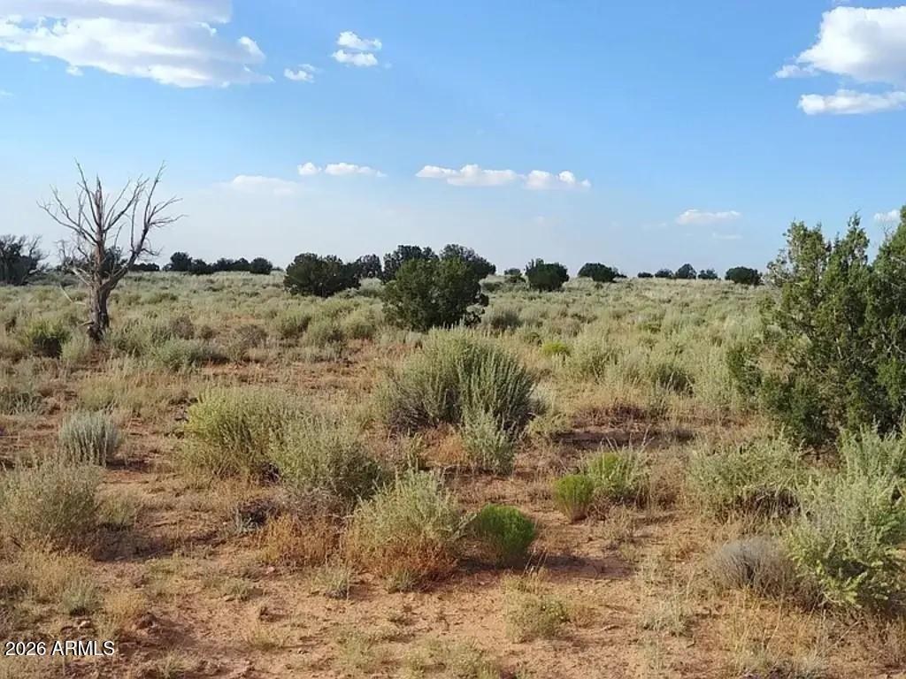 00 Kims Ranch Rd. #-, Snowflake, AZ 85937