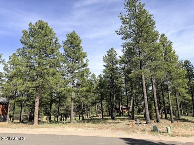 3698 S Woodland Hills Dr. #383, Flagstaff, AZ 86005