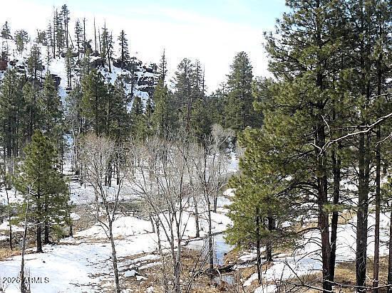 3369 Windy Ln. #145, Heber, AZ 85928