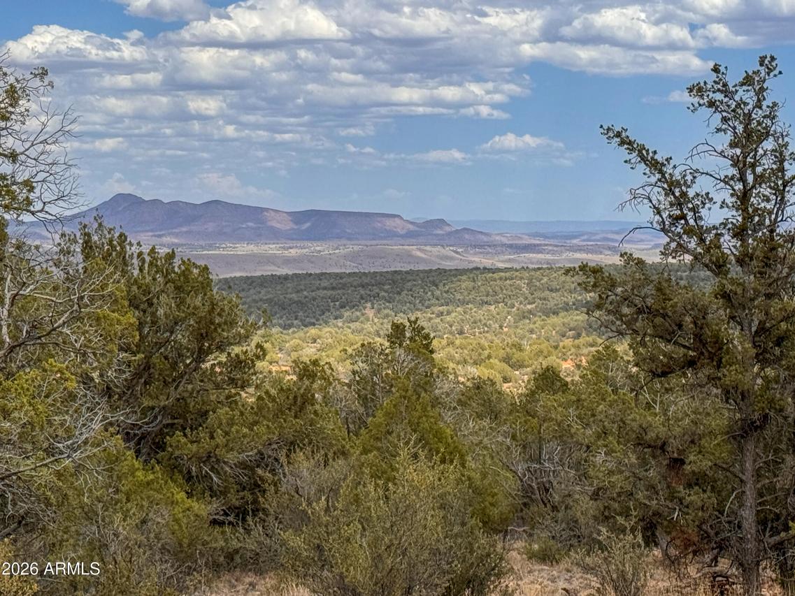 Xxxx W Ridge Dr. #12, Seligman, AZ 86337
