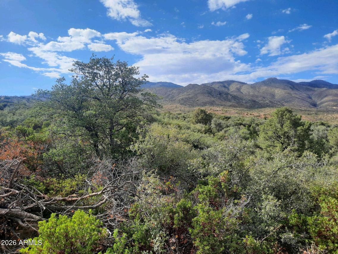 1XX N Chicory Ln. #-, Globe, AZ 85501
