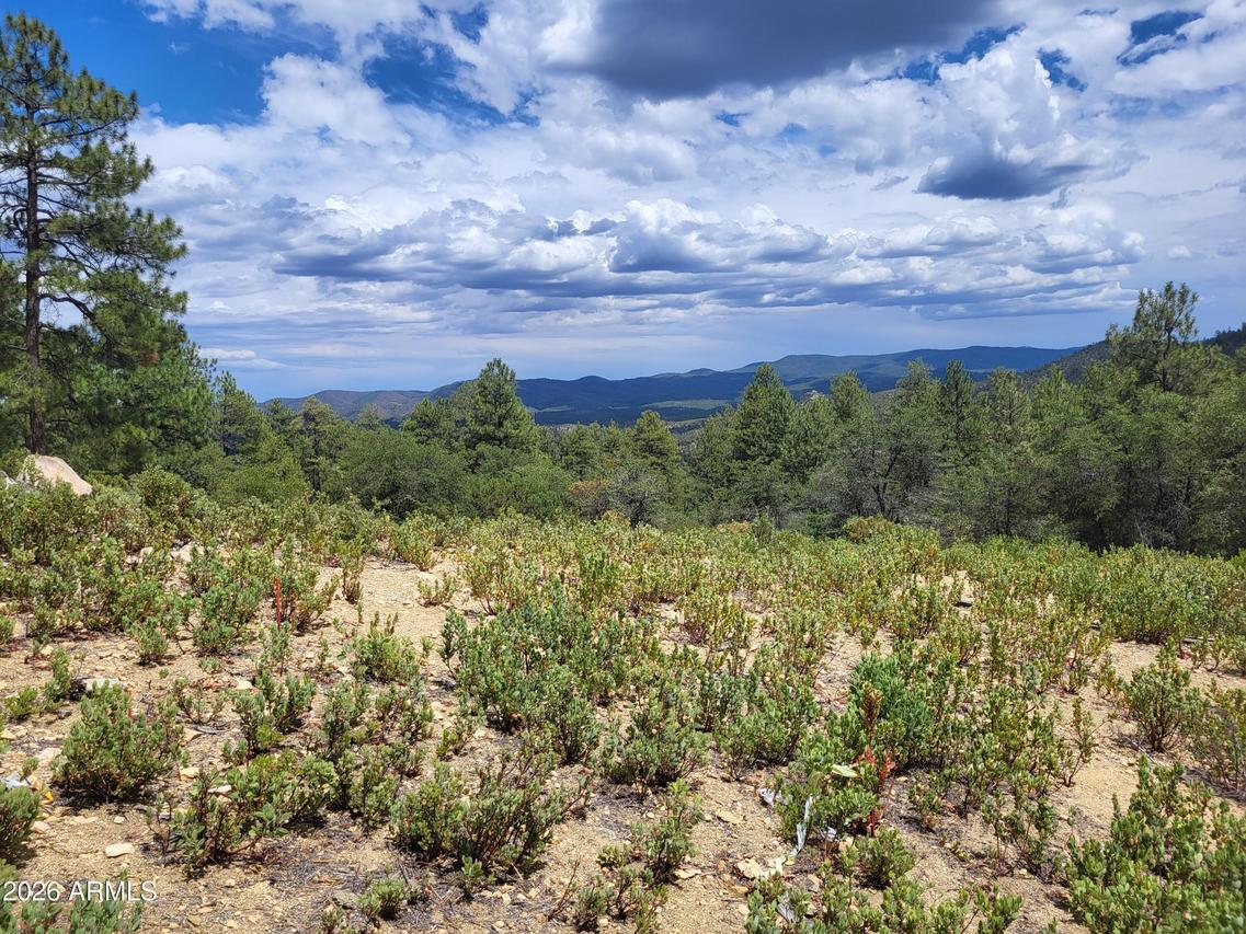 1610 S High Valley Ranch Rd. #6, Prescott, AZ 86303