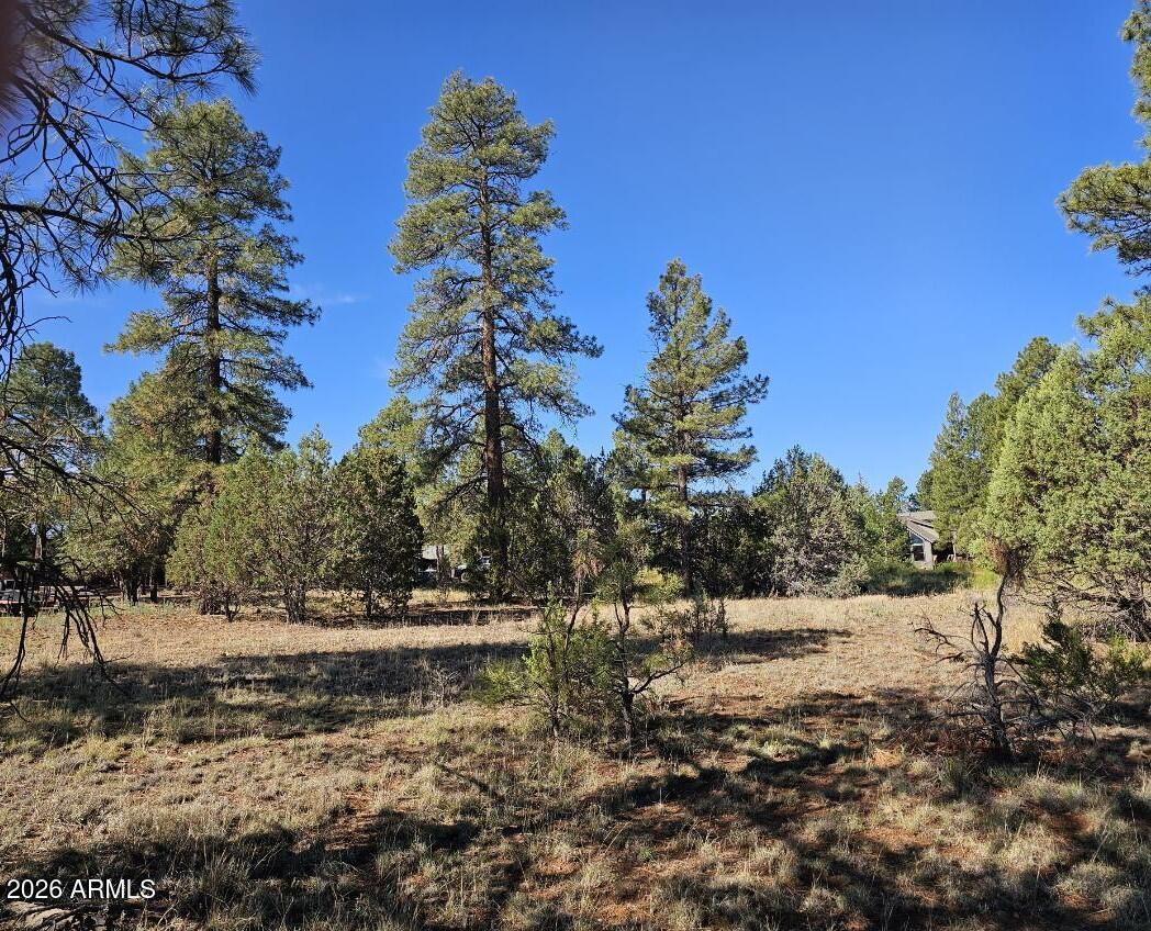 2236 Moccasin Dr. #208, Overgaard, AZ 85933