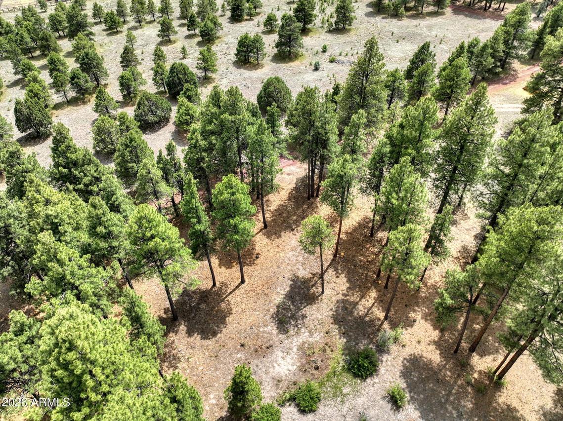 12847 E Dream Acres Ln. #-, Parks, AZ 86018