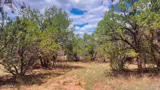 3491 Evergreen Dr. #322, Overgaard, AZ 85933