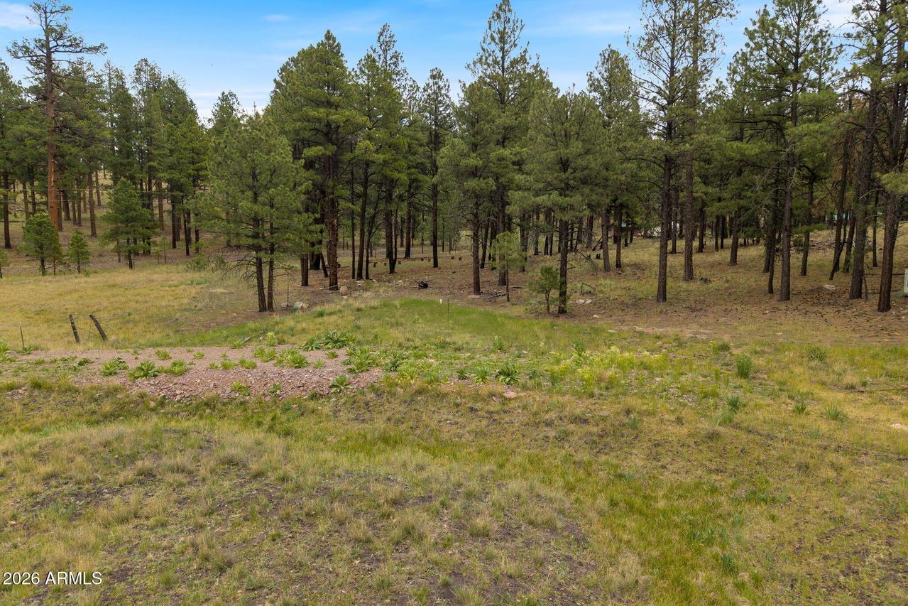 TBD County Rd 2121 #-, Alpine, AZ 85920