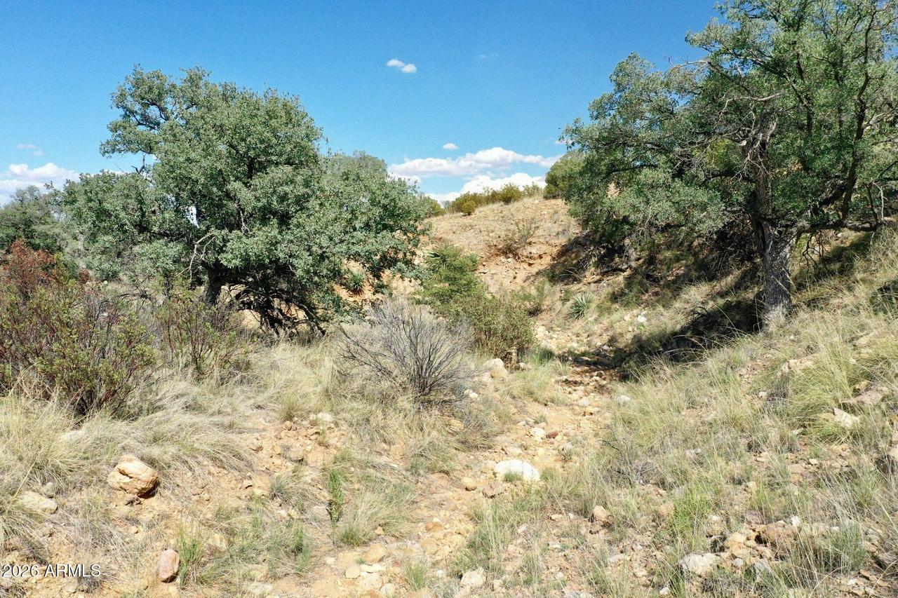 1 S Andalusian Way, Hereford, AZ 85615