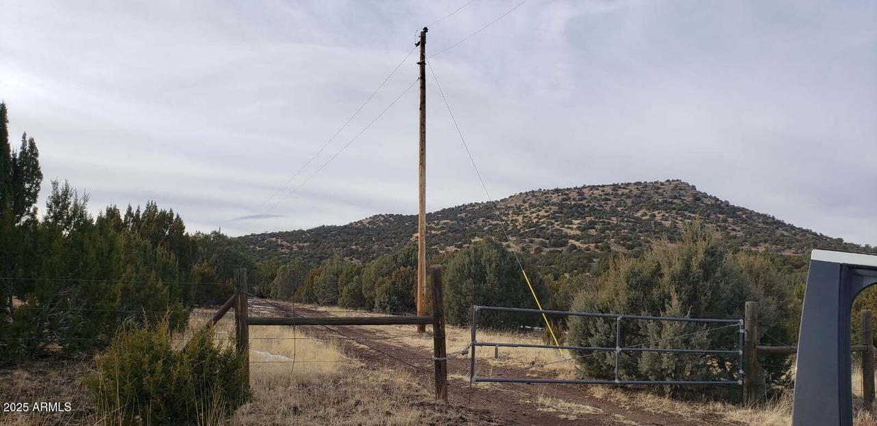 [Address Unavailable], Concho, AZ 85924