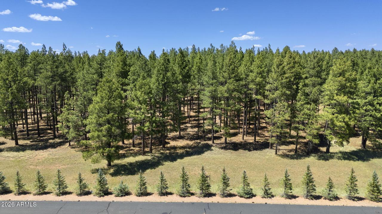 9 E Foxboro Rd. #14, Munds Park, AZ 86017