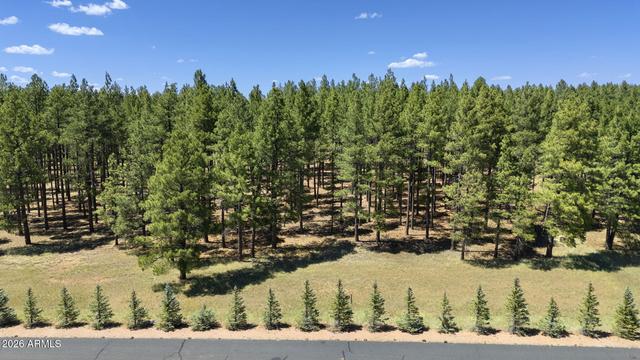 New Homes For Sale This Week That Attend DeMiguel Elementary School: June 19th to June 25th