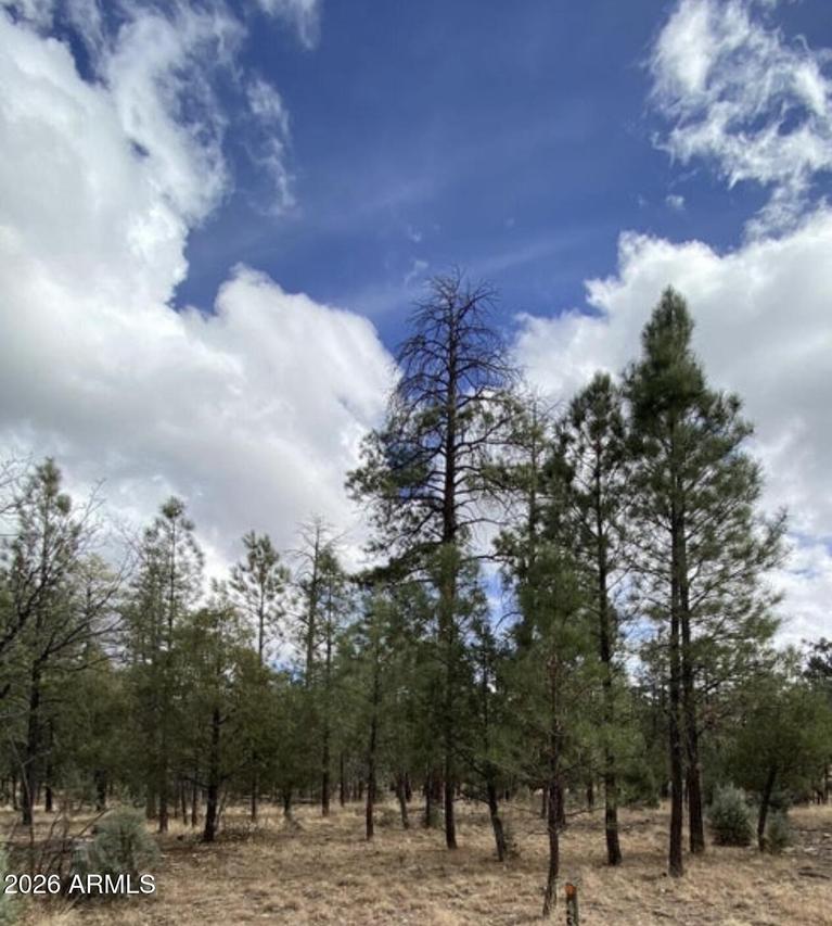 4395 Jack Pine Pl. #146, Happy Jack, AZ 86024
