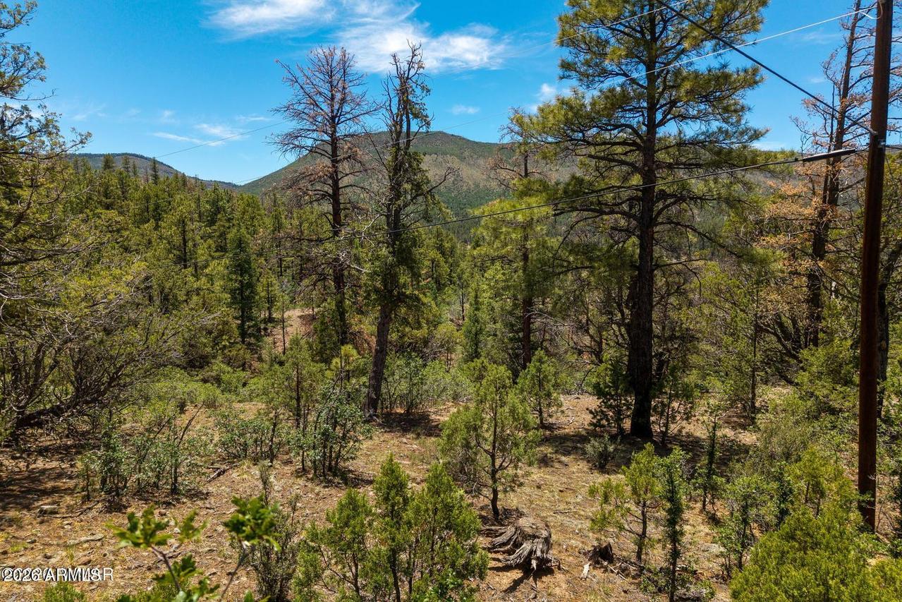 34 County Road 2279, Nutrioso, AZ 85932