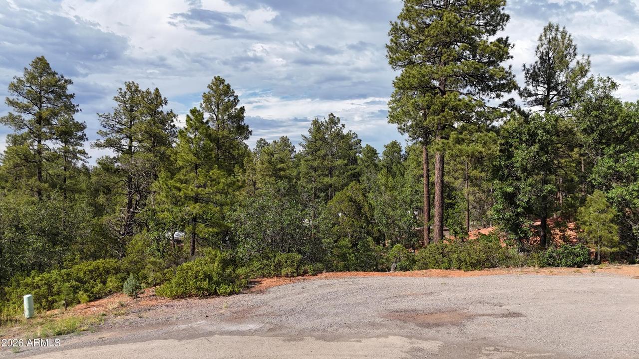 7026 Leo Ln. #25, Lakeside, AZ 85929