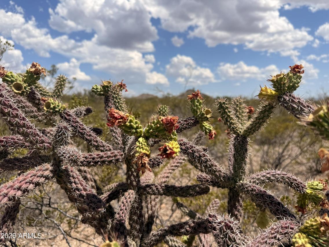 Lot 121 Valley Springs #121, Douglas, AZ 85607